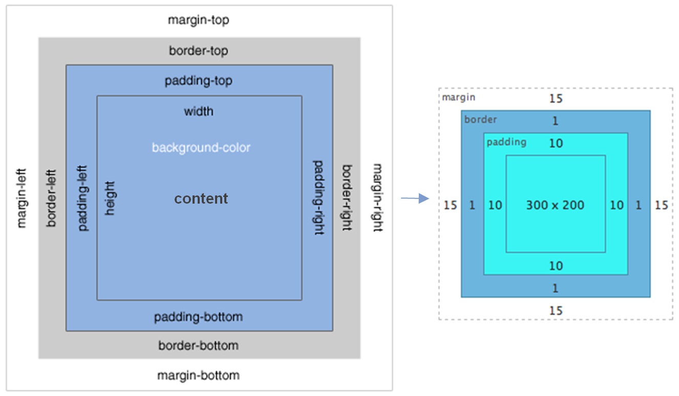 Margin color. Border margin padding CSS. Границы CSS padding margin. Html5 margin и padding. Margin внешний отступ.